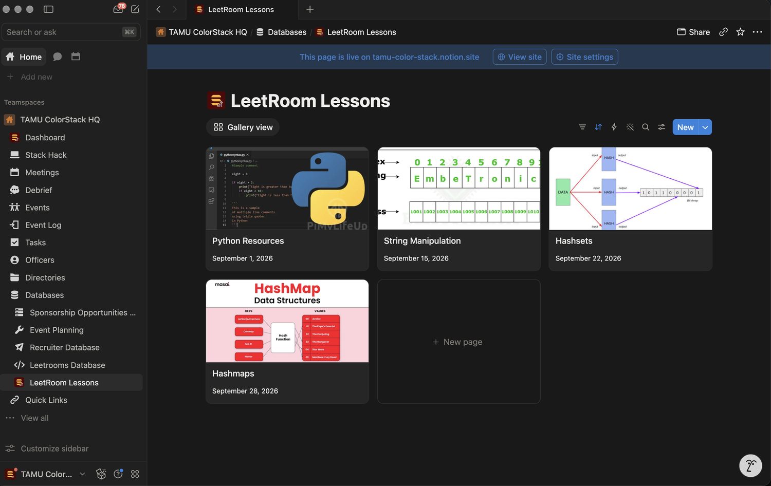 the LeetRoom Lessons gallery in the TAMU ColorStack Notion